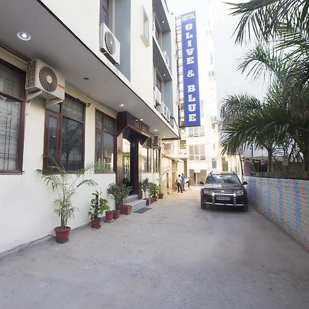 Hotel Olive & Blue - Govt Approved Hotel Near Delhi Airport New Delhi Eksteriør billede