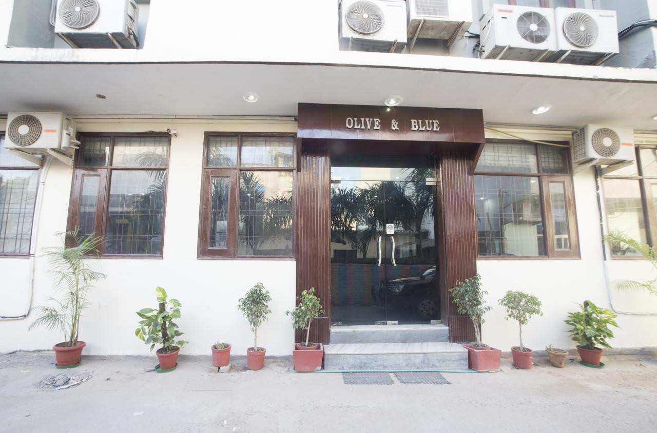 Hotel Olive & Blue - Govt Approved Hotel Near Delhi Airport New Delhi Eksteriør billede